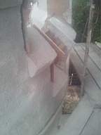 castlepark gate - 16860.jpg